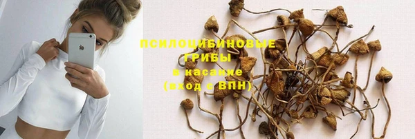 МДМА Елизово