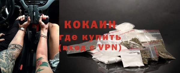 дмт Ельня