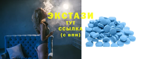 дмт Ельня