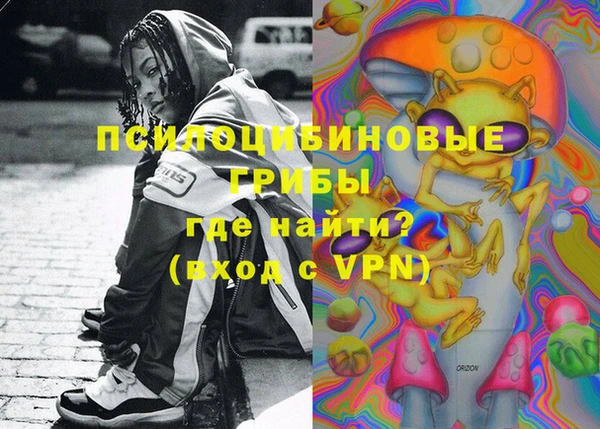 дмт Ельня