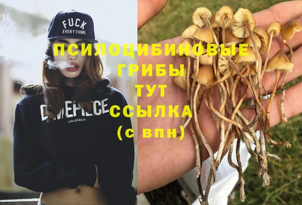 дмт Ельня