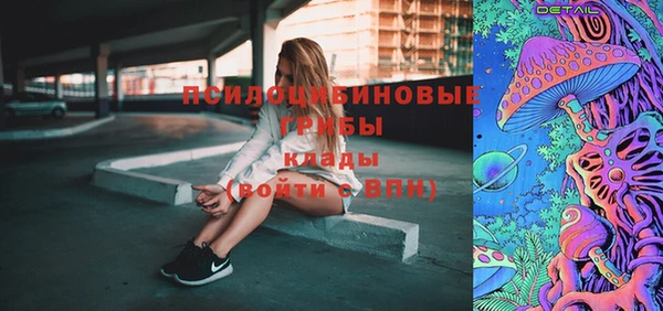 дмт Ельня