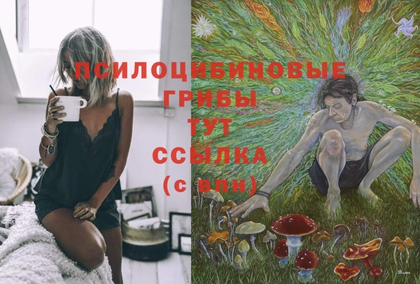 синтетический гашиш Елабуга