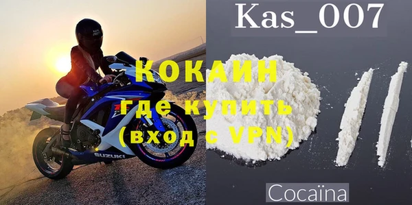 дмт Ельня