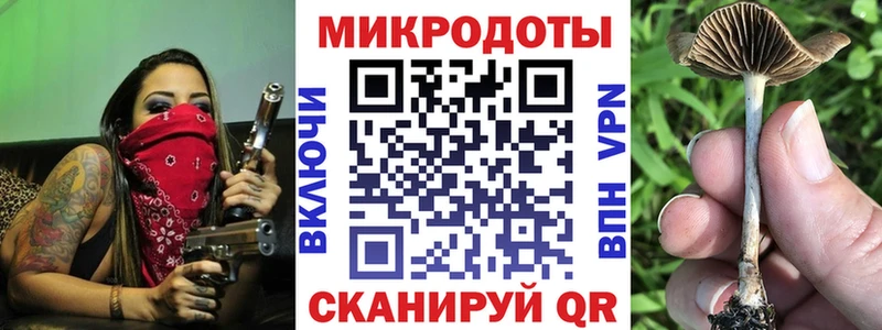 Псилоцибиновые грибы мицелий Магнитогорск